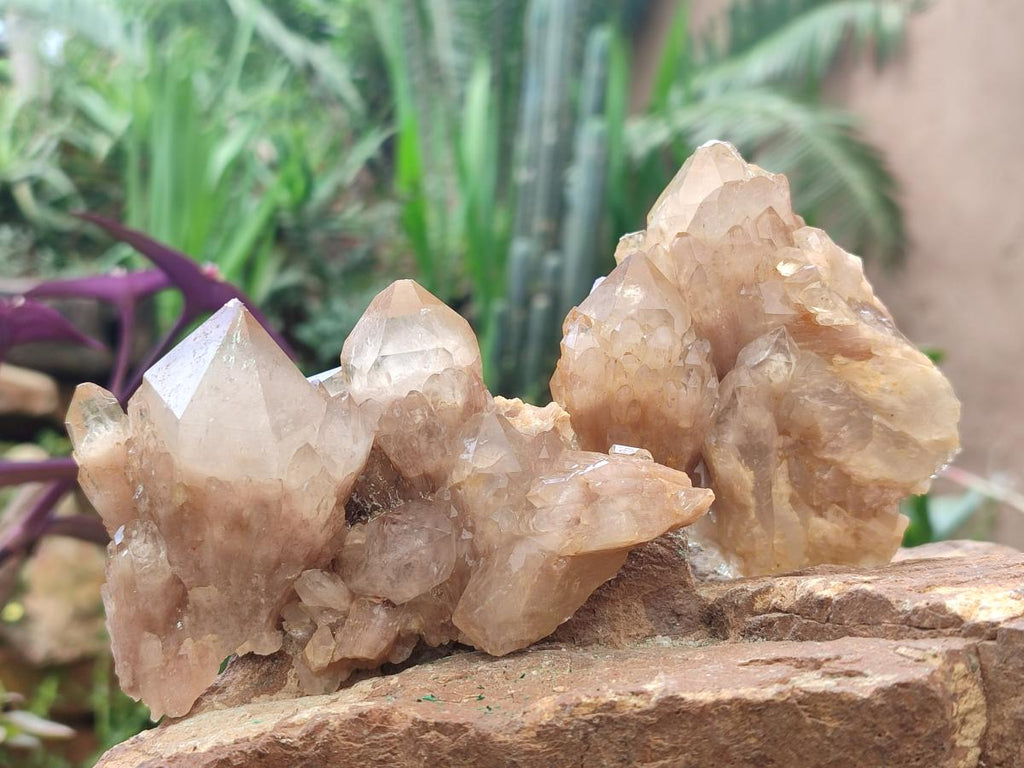 Natural Cascading White Phantom Smokey Luena Quartz Clusters x 6 From Luena, Congo - Toprock Gemstones and Minerals 