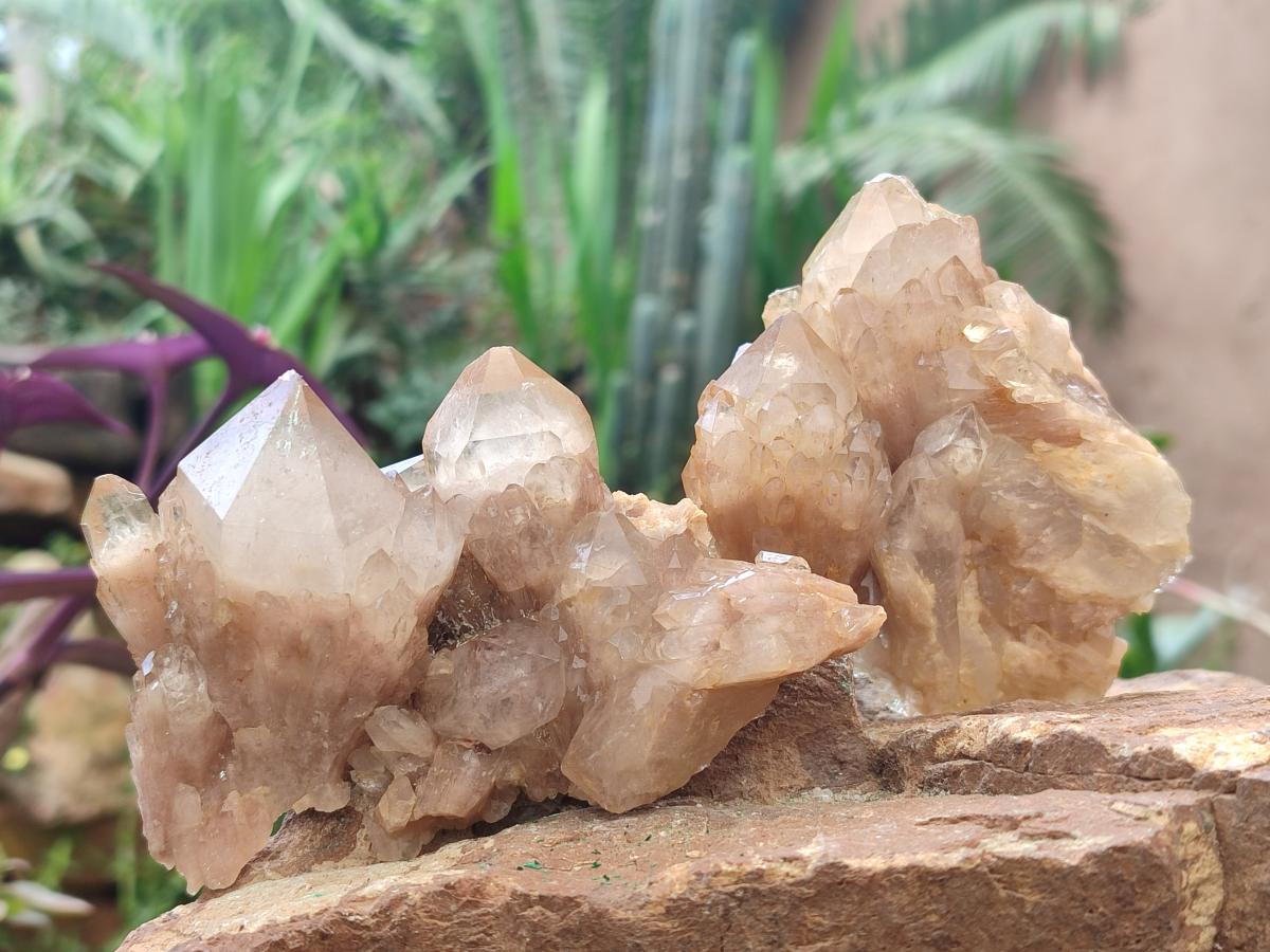 Natural Cascading White Phantom Smokey Luena Quartz Clusters x 6 From Luena, Congo - Toprock Gemstones and Minerals 