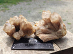 Natural Cascading White Phantom Smokey Luena Quartz Clusters x 6 From Luena, Congo - Toprock Gemstones and Minerals 
