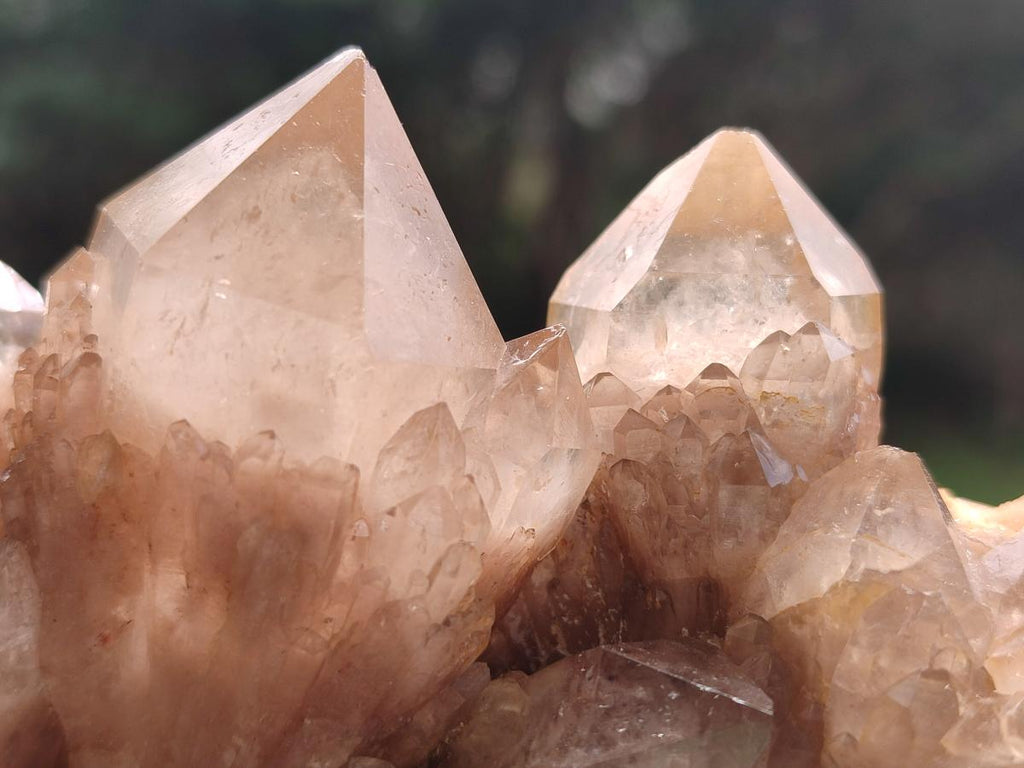 Natural Cascading White Phantom Smokey Luena Quartz Clusters x 6 From Luena, Congo - Toprock Gemstones and Minerals 