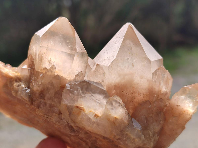 Natural Cascading White Phantom Smokey Luena Quartz Clusters x 6 From Luena, Congo - Toprock Gemstones and Minerals 