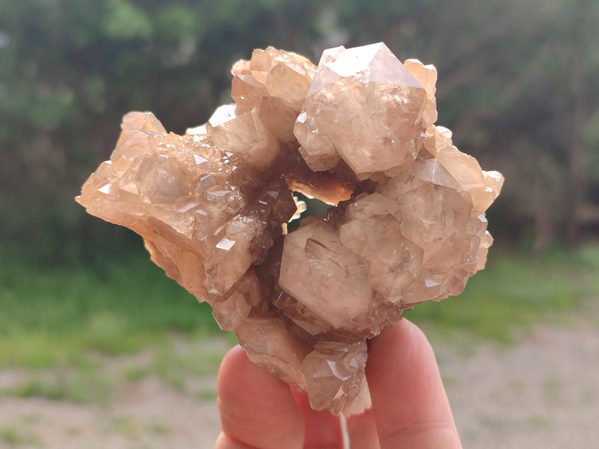 Natural Cascading White Phantom Smokey Luena Quartz Clusters x 6 From Luena, Congo - Toprock Gemstones and Minerals 