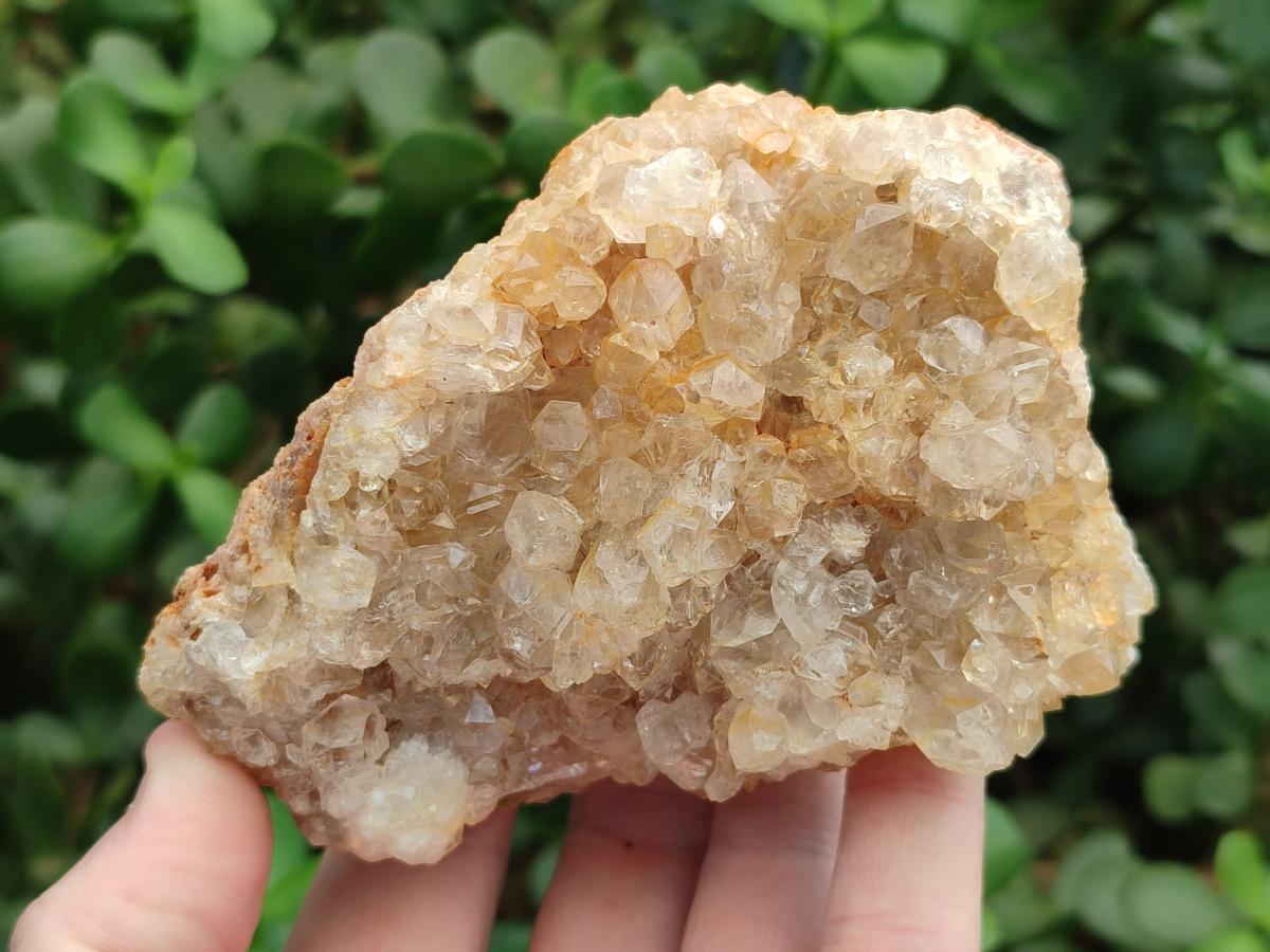 Natural Golden Limonite Quartz Clusters x 12 From Solwezi, Zambia - Toprock Gemstones and Minerals 