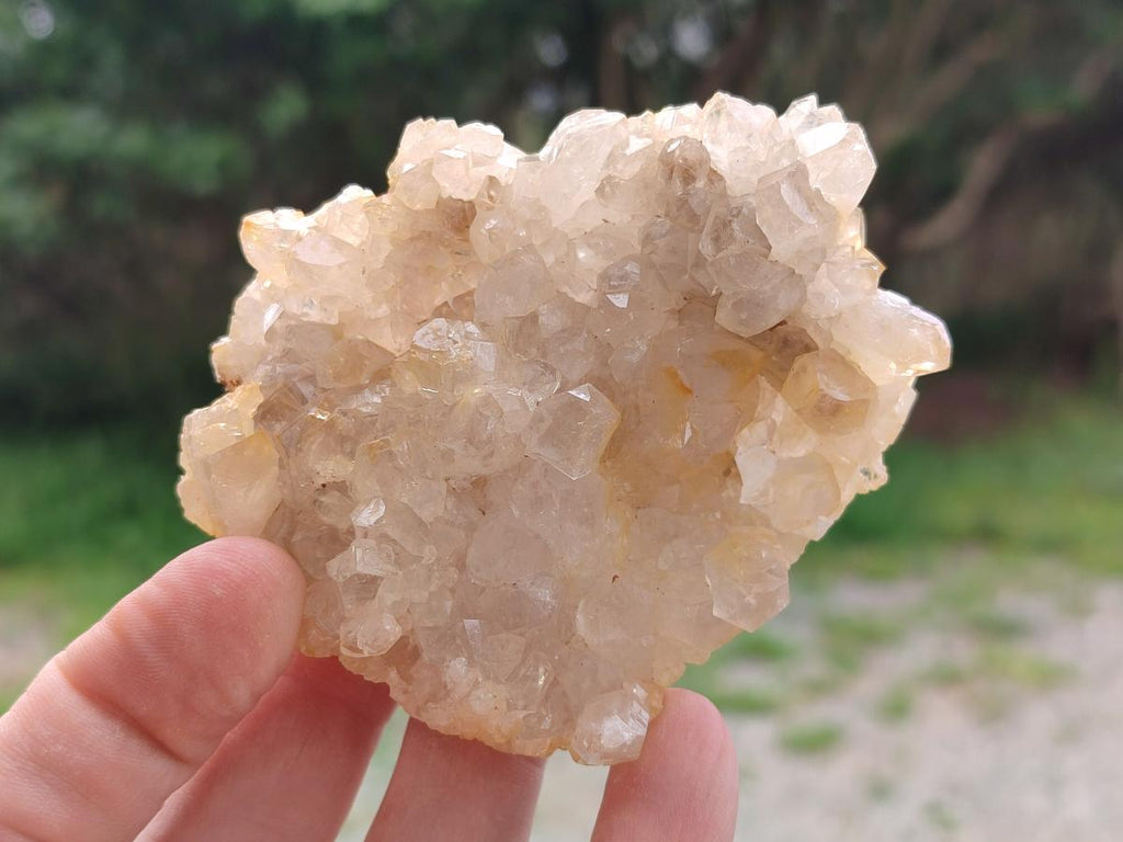 Natural Golden Limonite Quartz Clusters x 12 From Solwezi, Zambia - Toprock Gemstones and Minerals 