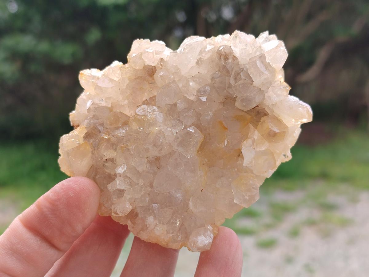 Natural Golden Limonite Quartz Clusters x 12 From Solwezi, Zambia - Toprock Gemstones and Minerals 