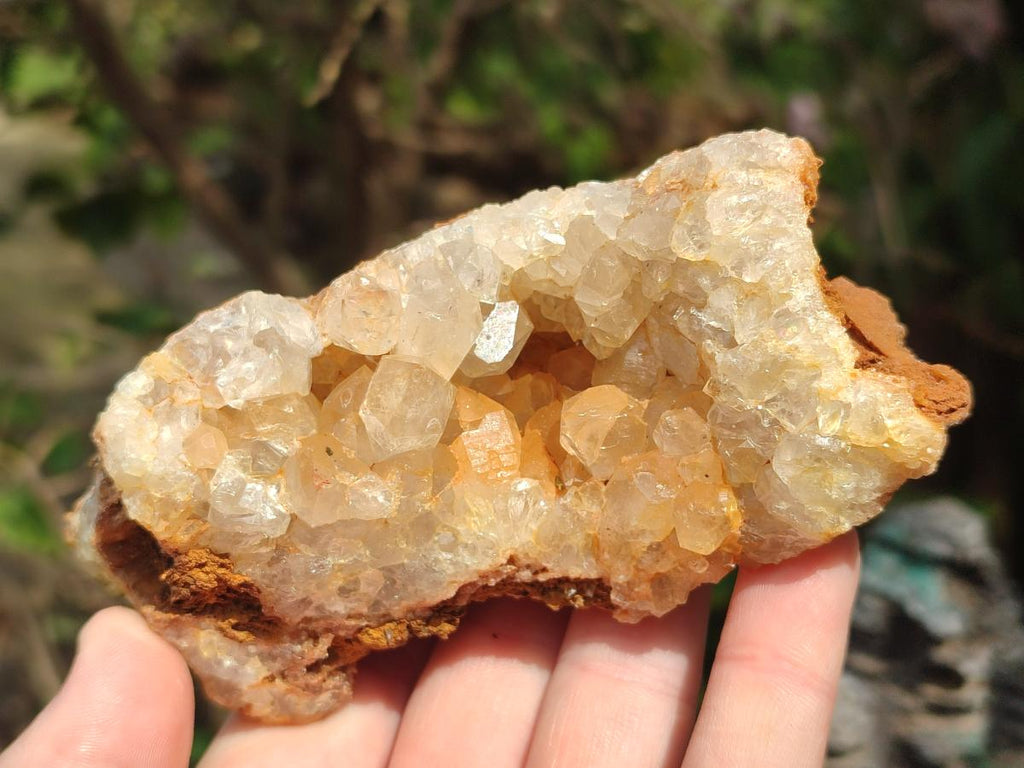 Natural Golden Limonite Quartz Clusters x 12 From Solwezi, Zambia - Toprock Gemstones and Minerals 