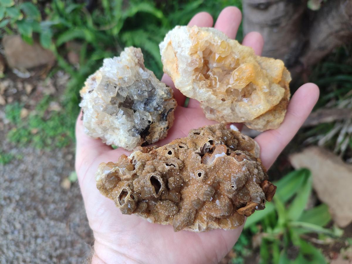 Natural Golden Limonite Quartz Clusters x 12 From Solwezi, Zambia - Toprock Gemstones and Minerals 