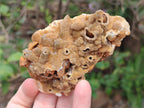 Natural Golden Limonite Quartz Clusters x 12 From Solwezi, Zambia - Toprock Gemstones and Minerals 