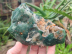 Polished One Side Mtorolite Chrysoprase Slices x 6 From Mutorashanga, Zimbabwe - Toprock Gemstones and Minerals 