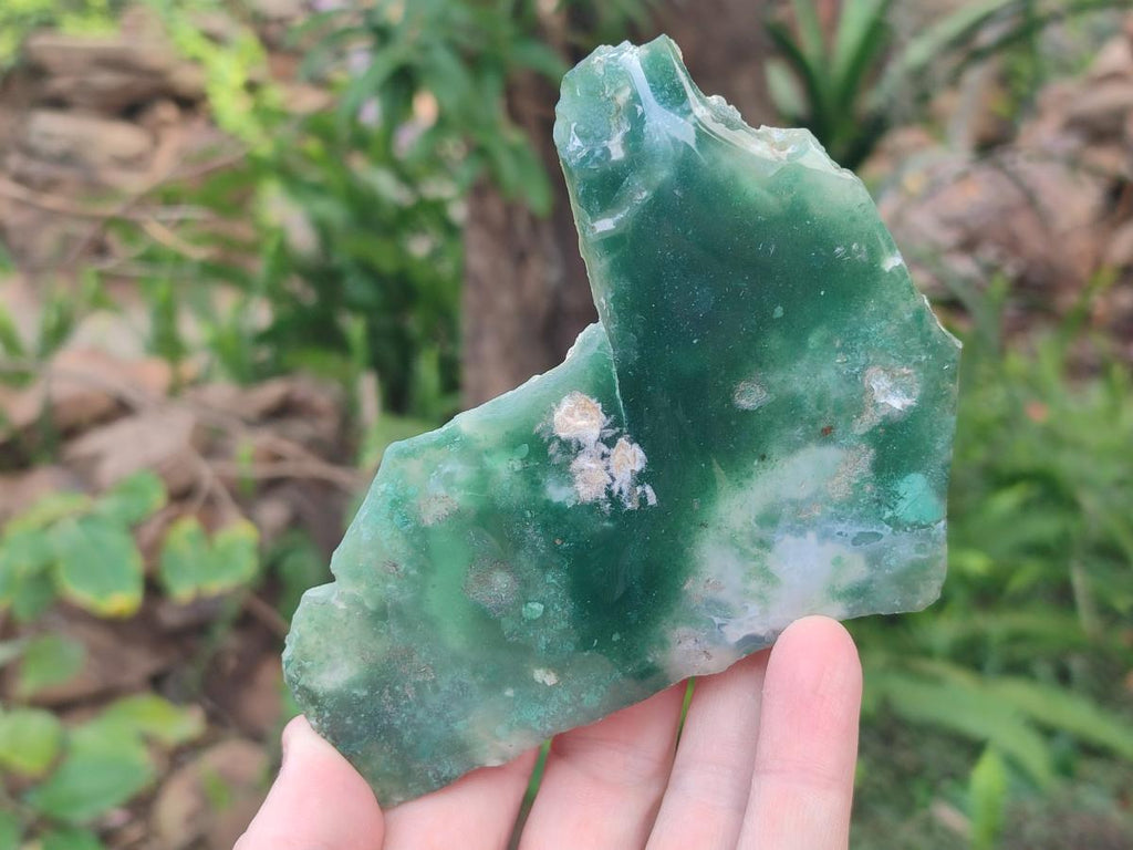 Polished One Side Mtorolite Chrysoprase Slices x 6 From Mutorashanga, Zimbabwe - Toprock Gemstones and Minerals 