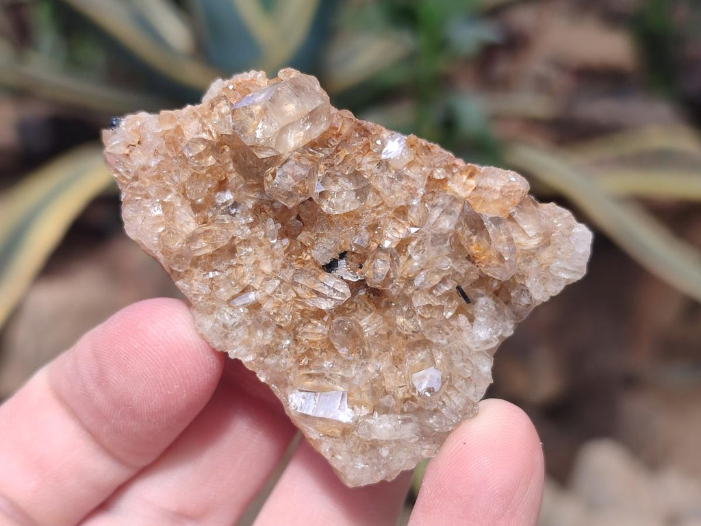 Natural Mix of Mineral Specimens x 27 From Erongo, Namibia - Toprock Gemstones and Minerals 