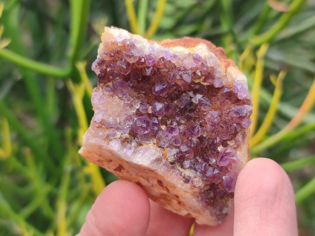 Natural Dark Purple Amethyst Clusters x 35 From Boekenhouthoek, South Africa - Toprock Gemstones and Minerals 