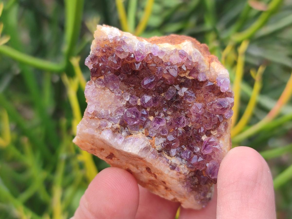 Natural Dark Purple Amethyst Clusters x 35 From Boekenhouthoek, South Africa - Toprock Gemstones and Minerals 