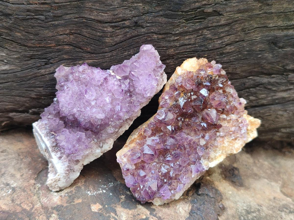 Natural Dark Purple Amethyst Clusters x 35 From Boekenhouthoek, South Africa - Toprock Gemstones and Minerals 