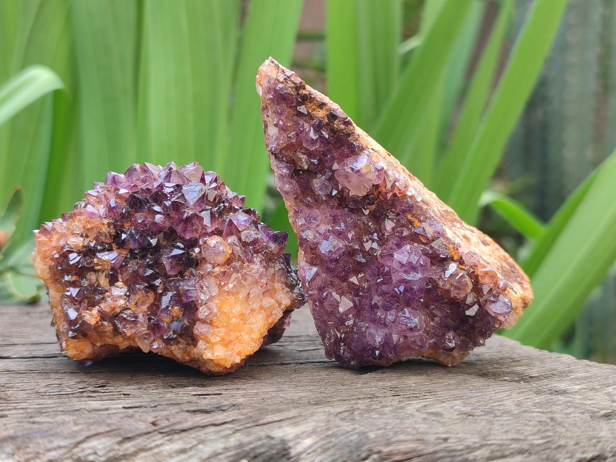 Natural Dark Purple Amethyst Clusters x 35 From Boekenhouthoek, South Africa - Toprock Gemstones and Minerals 