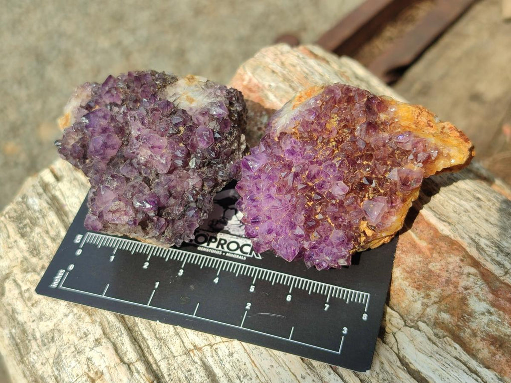 Natural Dark Purple Amethyst Clusters x 35 From Boekenhouthoek, South Africa - Toprock Gemstones and Minerals 