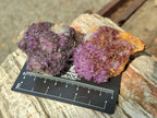 Natural Dark Purple Amethyst Clusters x 35 From Boekenhouthoek, South Africa - Toprock Gemstones and Minerals 