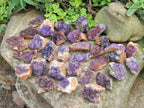 Natural Dark Purple Amethyst Clusters x 35 From Boekenhouthoek, South Africa - Toprock Gemstones and Minerals 