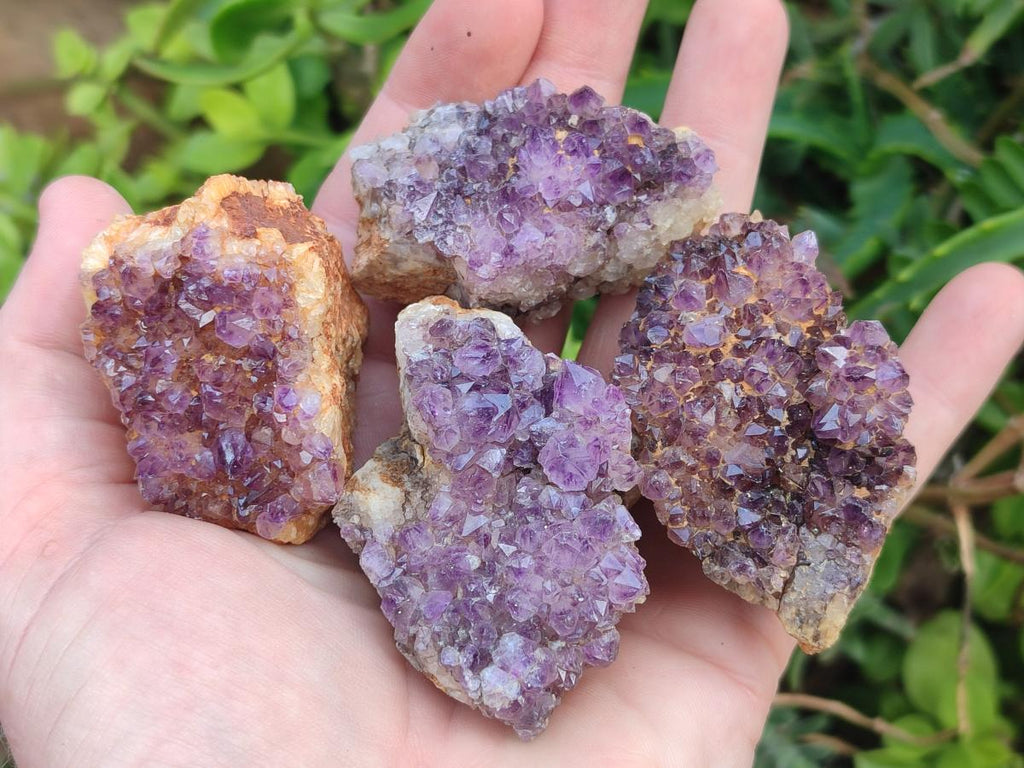 Natural Dark Purple Amethyst Clusters x 35 From Boekenhouthoek, South Africa - Toprock Gemstones and Minerals 