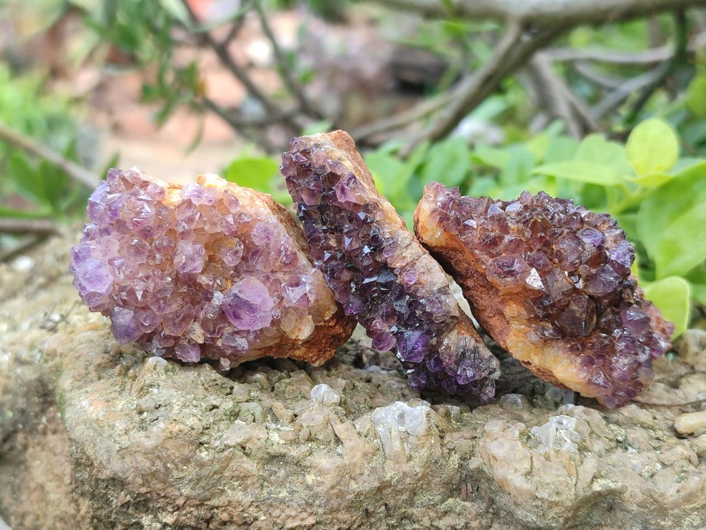 Natural Dark Purple Amethyst Clusters x 35 From Boekenhouthoek, South Africa - Toprock Gemstones and Minerals 