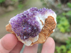 Natural Dark Purple Amethyst Clusters x 35 From Boekenhouthoek, South Africa - Toprock Gemstones and Minerals 