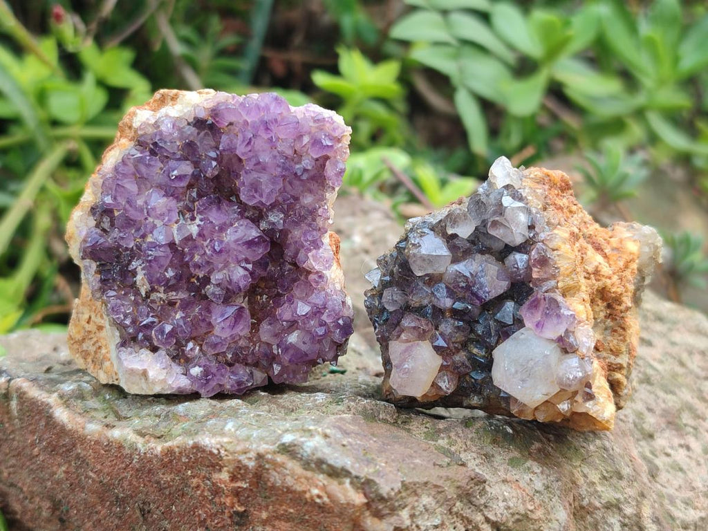 Natural Dark Purple Amethyst Clusters x 35 From Boekenhouthoek, South Africa - Toprock Gemstones and Minerals 