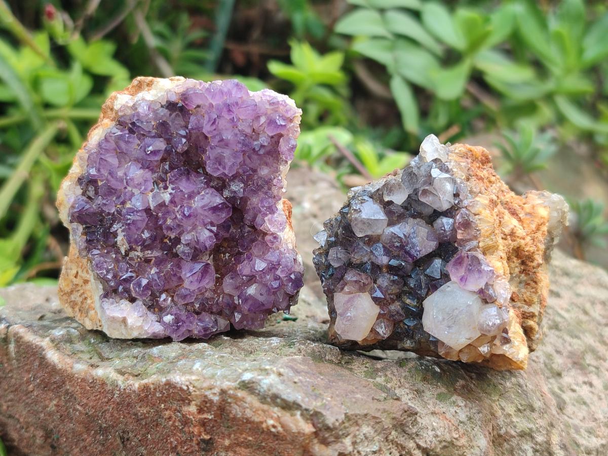 Natural Dark Purple Amethyst Clusters x 35 From Boekenhouthoek, South Africa - Toprock Gemstones and Minerals 