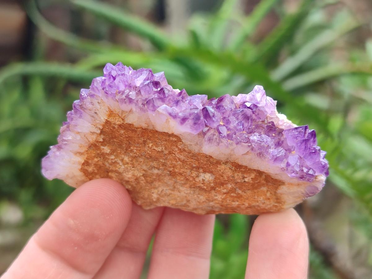 Natural Dark Purple Amethyst Clusters x 35 From Boekenhouthoek, South Africa - Toprock Gemstones and Minerals 