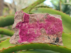 Natural Salrose Cobaltoan Dolomite Specimens x 12 From Kakanda, Congo - Toprock Gemstones and Minerals 
