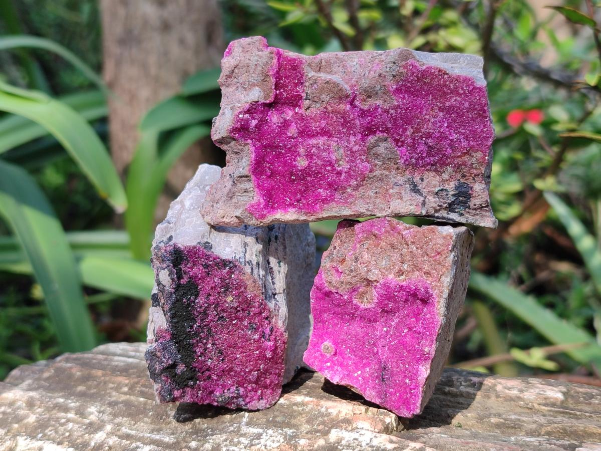 Natural Salrose Cobaltoan Dolomite Specimens x 12 From Kakanda, Congo - Toprock Gemstones and Minerals 