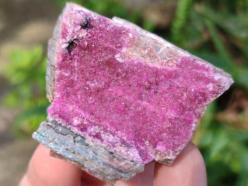 Natural Salrose Cobaltoan Dolomite Specimens x 12 From Kakanda, Congo - Toprock Gemstones and Minerals 