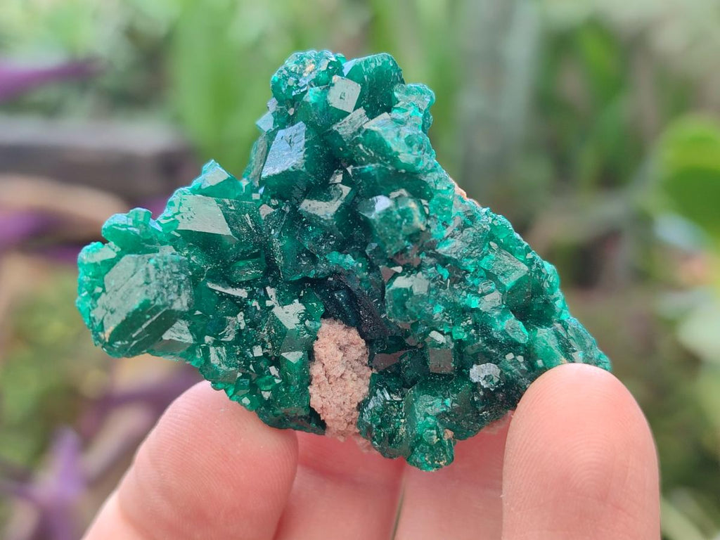 Natural Dioptase Specimens on Dolomite Matrix x 12 From Tantara Mine, Congo - Toprock Gemstones and Minerals 