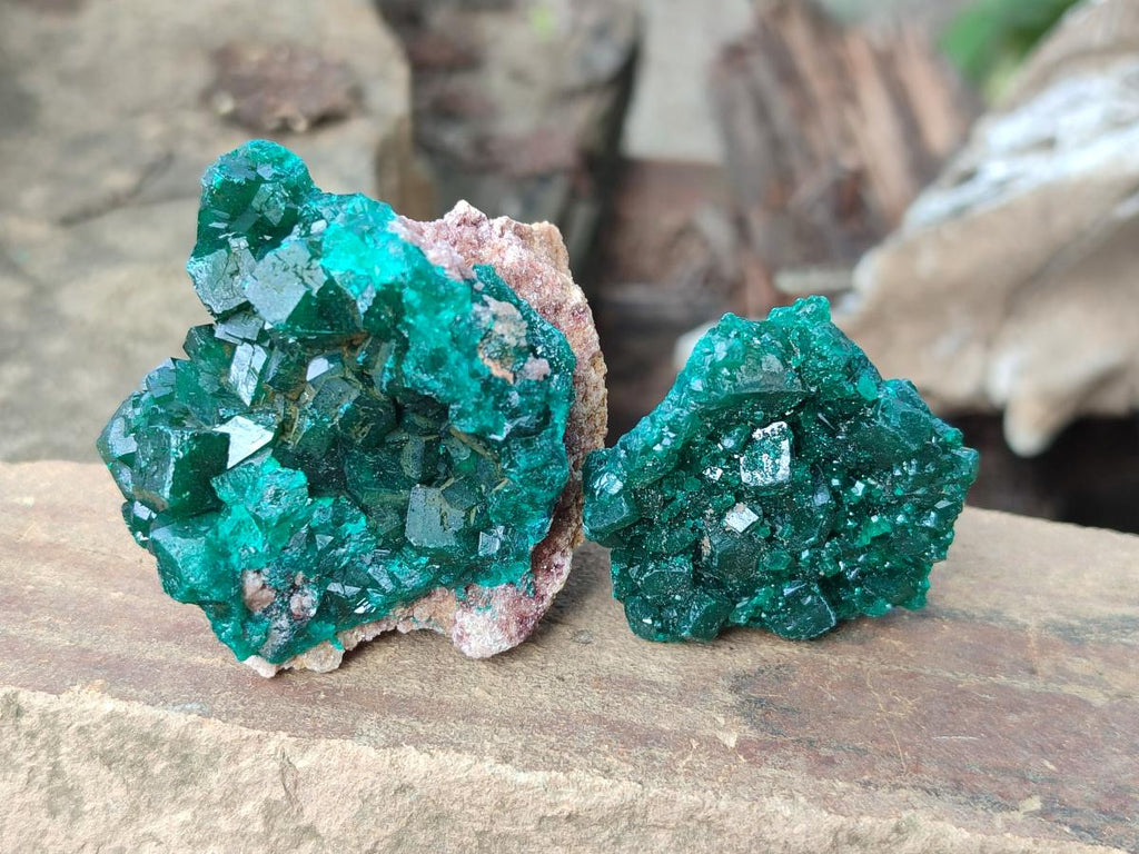 Natural Dioptase Specimens on Dolomite Matrix x 12 From Tantara Mine, Congo - Toprock Gemstones and Minerals 
