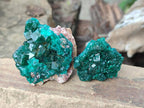 Natural Dioptase Specimens on Dolomite Matrix x 12 From Tantara Mine, Congo - Toprock Gemstones and Minerals 