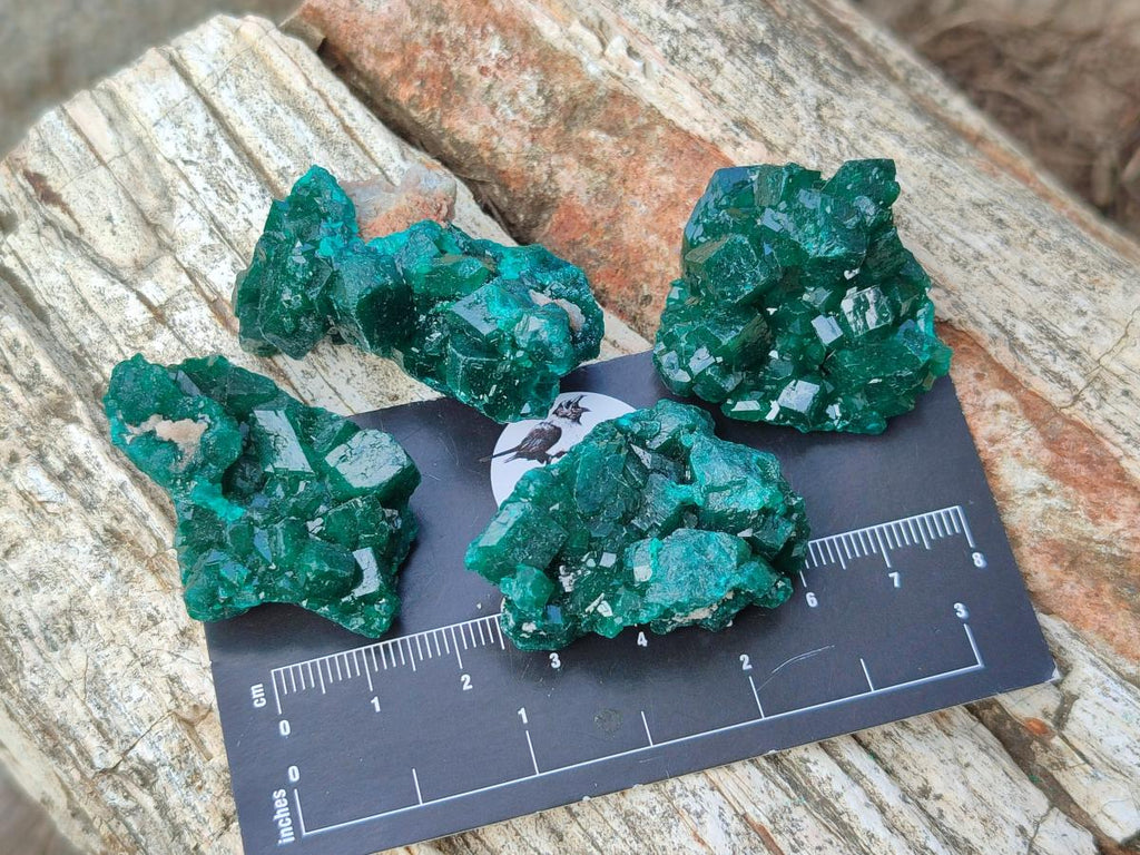 Natural Dioptase Specimens on Dolomite Matrix x 12 From Tantara Mine, Congo - Toprock Gemstones and Minerals 