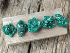 Natural Dioptase Specimens on Dolomite Matrix x 12 From Tantara Mine, Congo - Toprock Gemstones and Minerals 