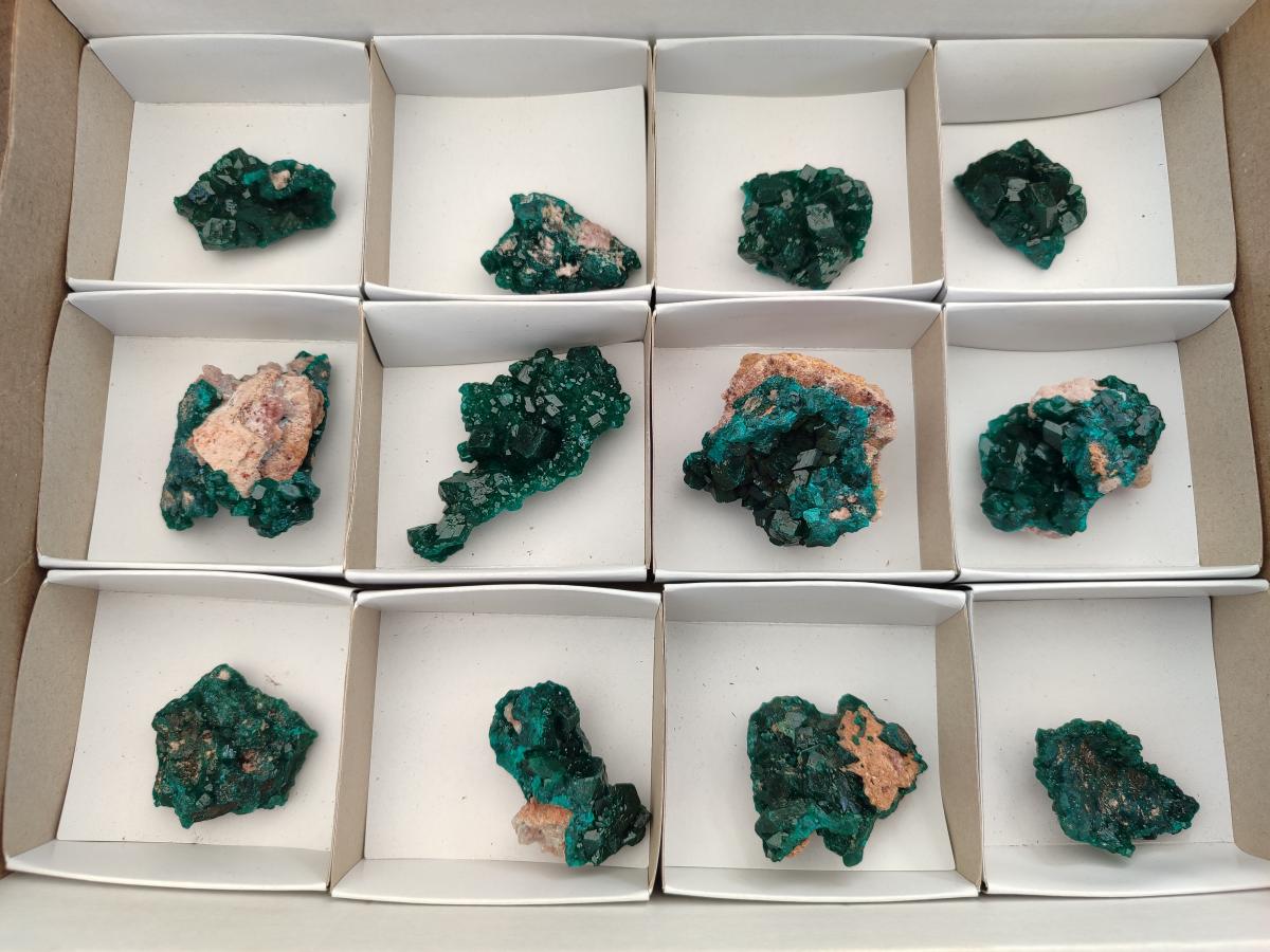 Natural Dioptase Specimens on Dolomite Matrix x 12 From Tantara Mine, Congo - Toprock Gemstones and Minerals 