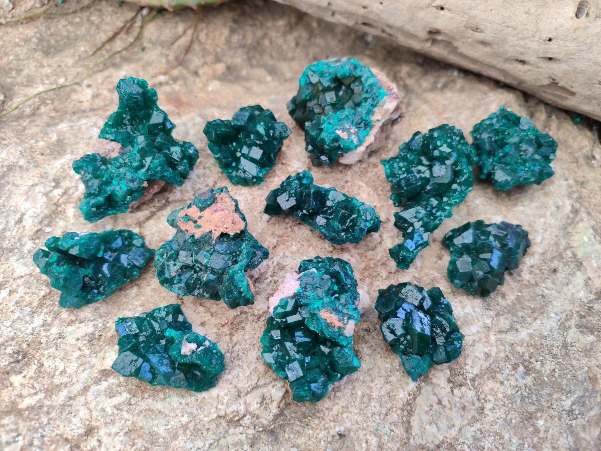 Natural Dioptase Specimens on Dolomite Matrix x 12 From Tantara Mine, Congo - Toprock Gemstones and Minerals 