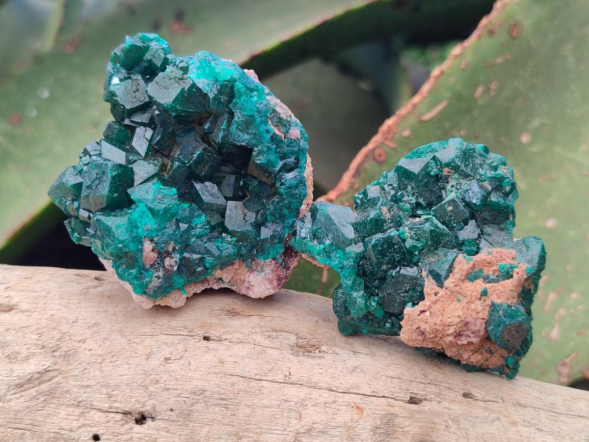 Natural Dioptase Specimens on Dolomite Matrix x 12 From Tantara Mine, Congo - Toprock Gemstones and Minerals 