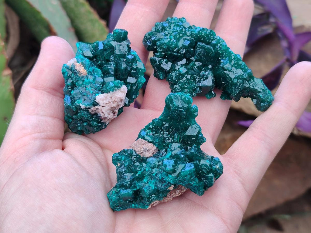 Natural Dioptase Specimens on Dolomite Matrix x 12 From Tantara Mine, Congo - Toprock Gemstones and Minerals 