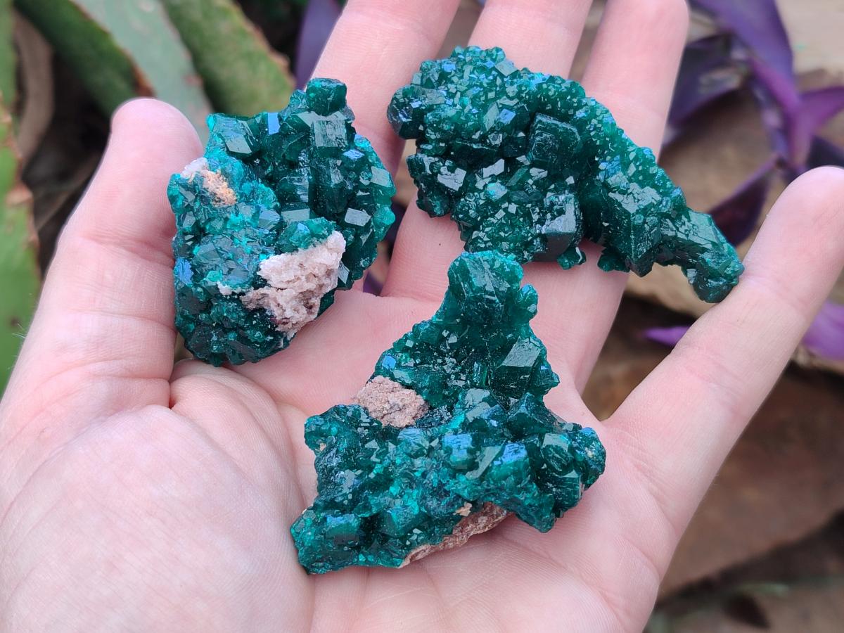 Natural Dioptase Specimens on Dolomite Matrix x 12 From Tantara Mine, Congo - Toprock Gemstones and Minerals 
