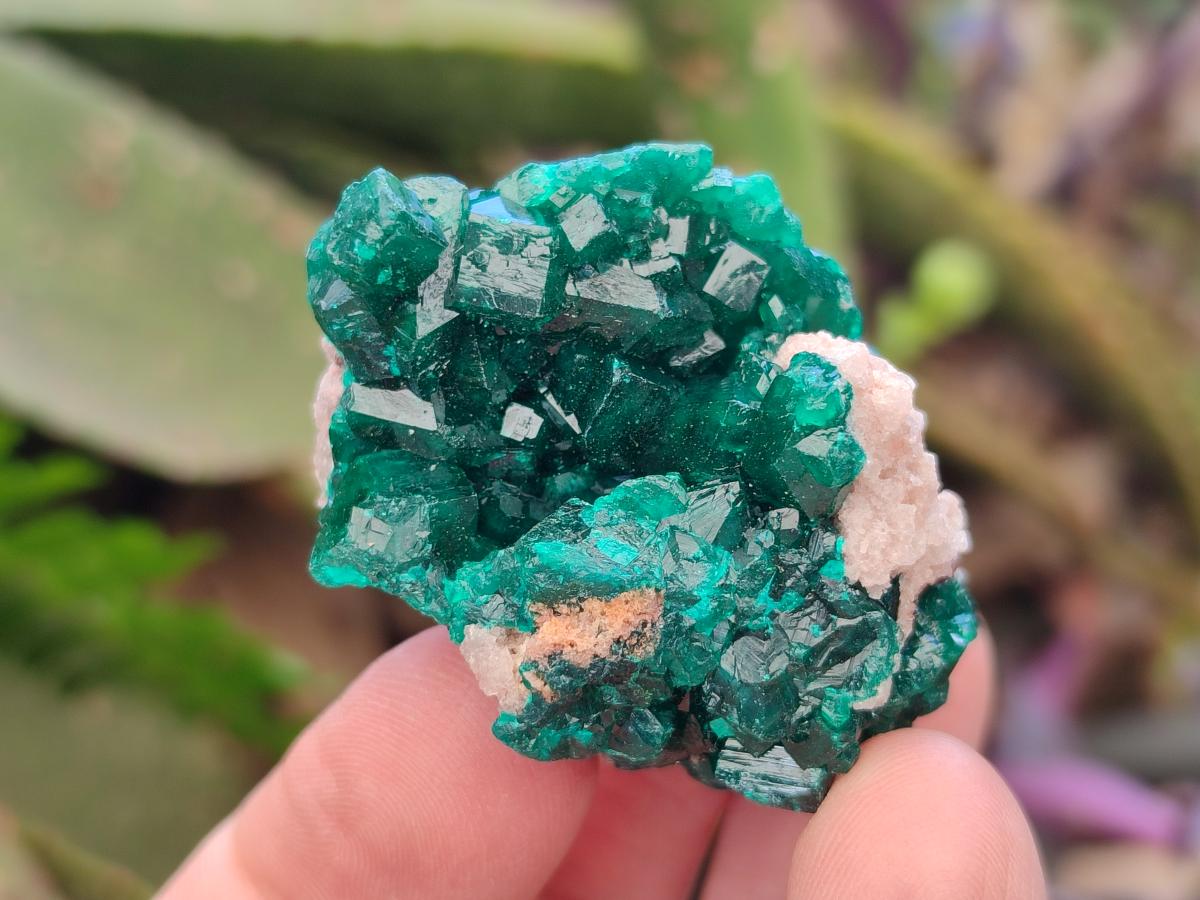 Natural Dioptase Specimens on Dolomite Matrix x 12 From Tantara Mine, Congo - Toprock Gemstones and Minerals 