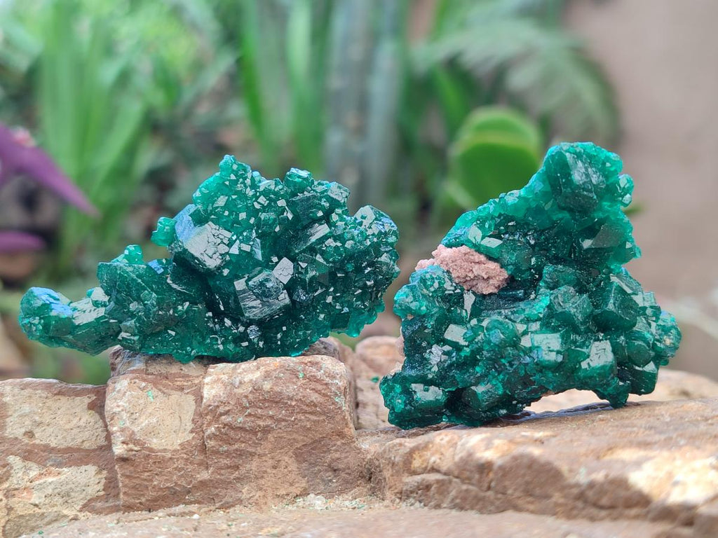 Natural Dioptase Specimens on Dolomite Matrix x 12 From Tantara Mine, Congo - Toprock Gemstones and Minerals 