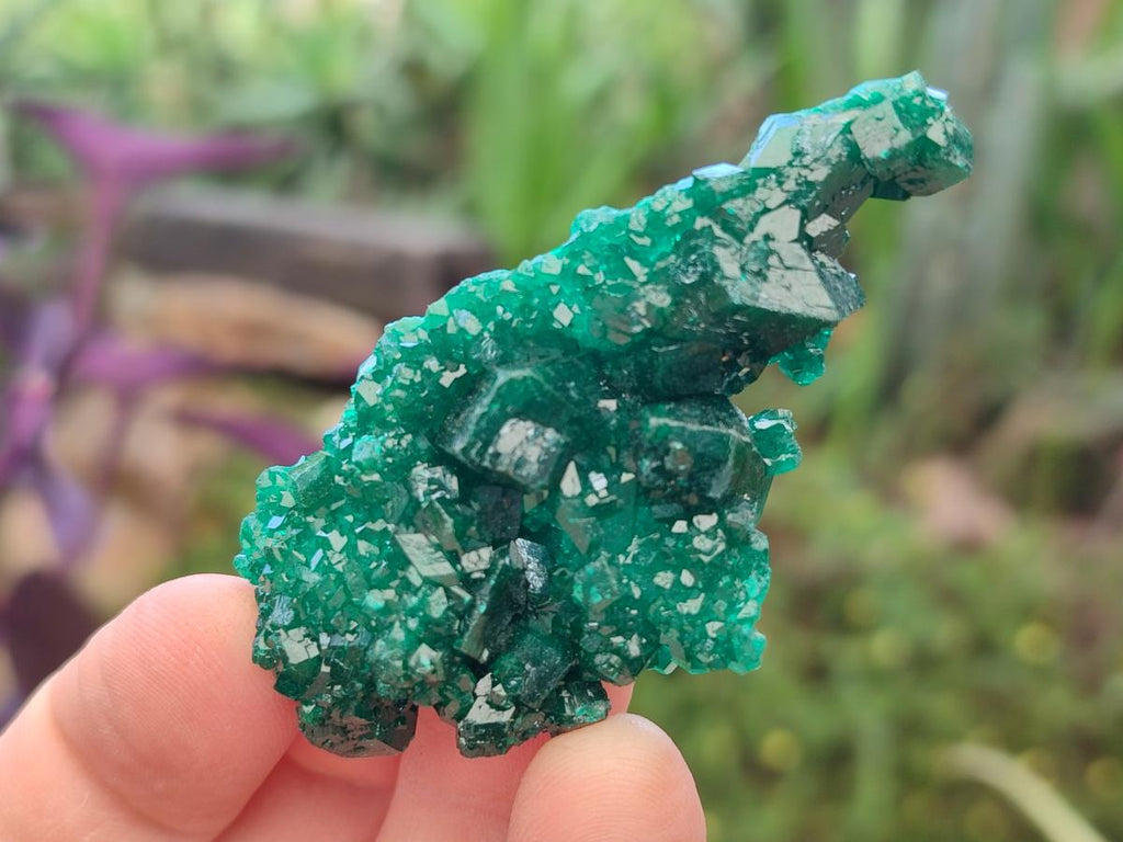 Natural Dioptase Specimens on Dolomite Matrix x 12 From Tantara Mine, Congo - Toprock Gemstones and Minerals 