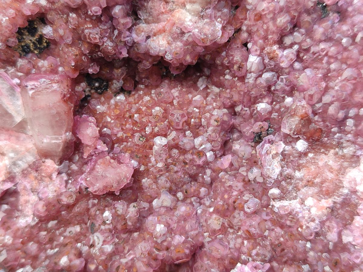 Natural Large Cabinet Size Raspberry Spherocobaltite Specimen x 1 From Musonoi Mine, Congo - Toprock Gemstones and Minerals 