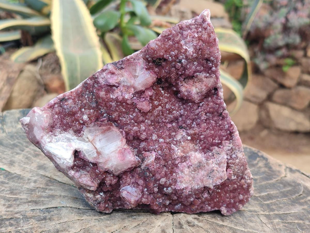 Natural Large Cabinet Size Raspberry Spherocobaltite Specimen x 1 From Musonoi Mine, Congo - Toprock Gemstones and Minerals 