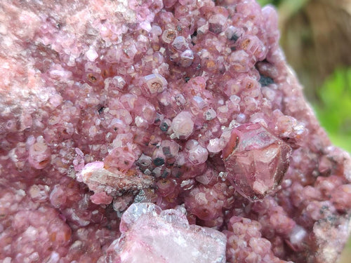 Natural Large Cabinet Size Raspberry Spherocobaltite Specimen x 1 From Musonoi Mine, Congo - Toprock Gemstones and Minerals 