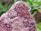 Natural Large Cabinet Size Raspberry Spherocobaltite Specimen x 1 From Musonoi Mine, Congo - Toprock Gemstones and Minerals 