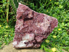Natural Large Cabinet Size Raspberry Spherocobaltite Specimen x 1 From Musonoi Mine, Congo - Toprock Gemstones and Minerals 