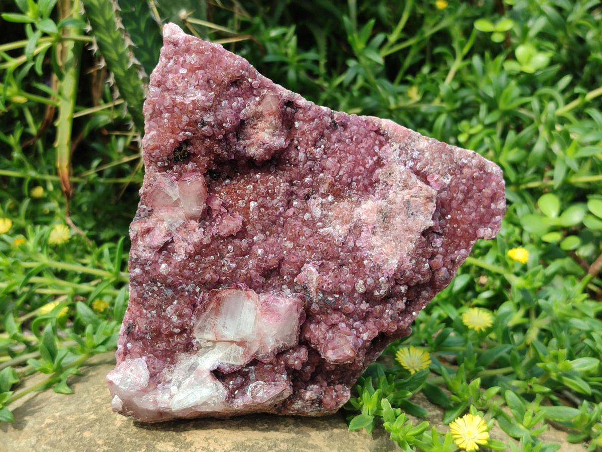 Natural Large Cabinet Size Raspberry Spherocobaltite Specimen x 1 From Musonoi Mine, Congo - Toprock Gemstones and Minerals 